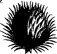 099/099300010400630_0.png