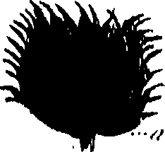 099/099300010400640_0.png