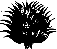 099/099300010400650_1.png