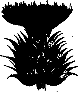 099/099300010400650_2.png