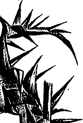 099/099300010400670_0.png