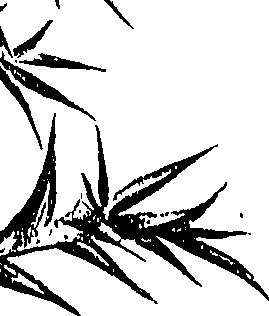 099/099300010400670_1.png