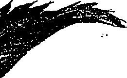 099/099300010400670_2.png