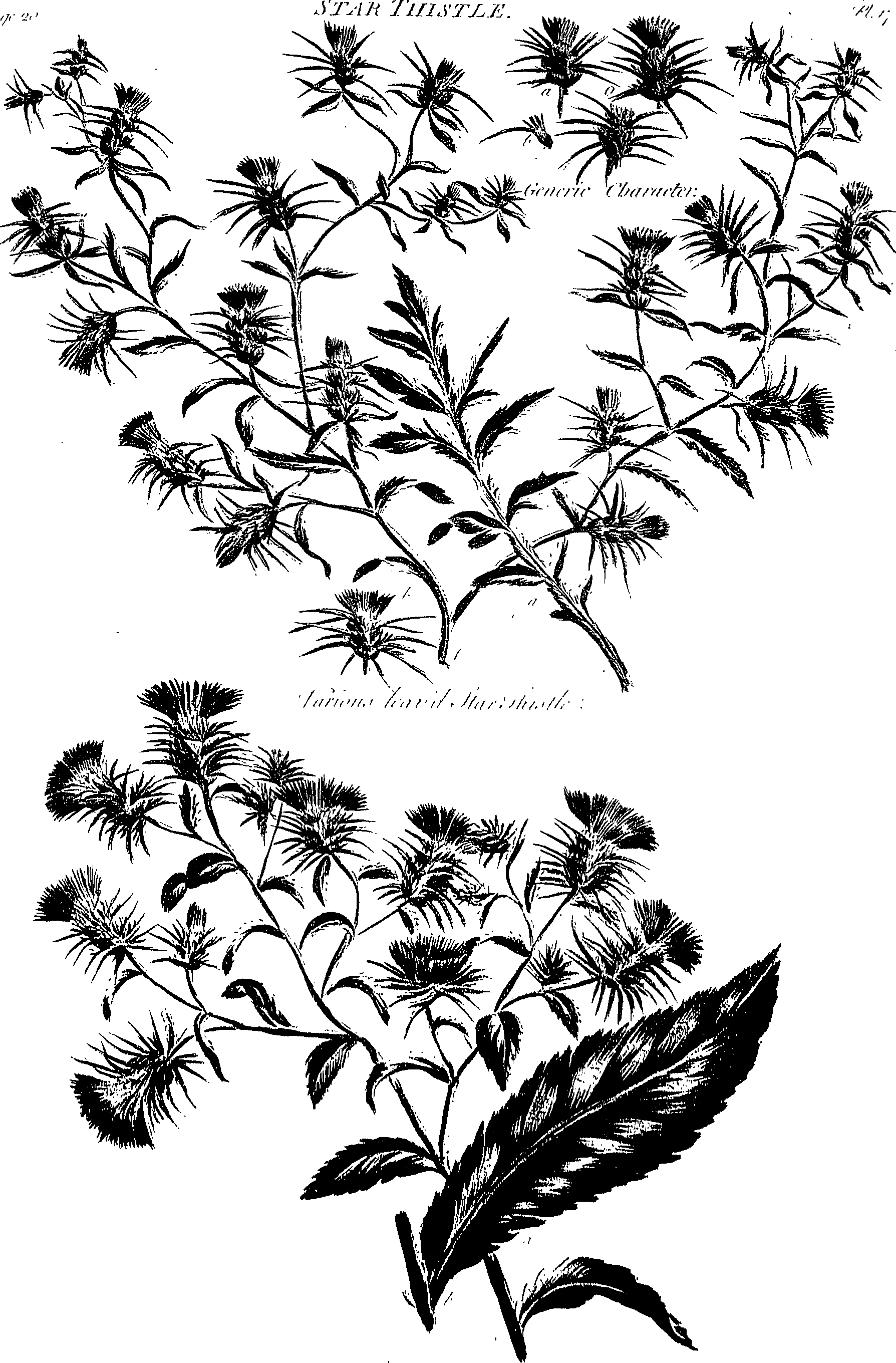 099/099300010400690_0.png