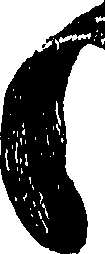 099/099300010400700_1.png