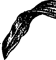 099/099300010400700_2.png