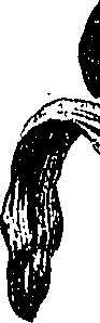 099/099300010400700_3.png