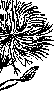 099/099300010400700_4.png