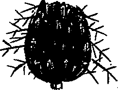 099/099300010400700_5.png