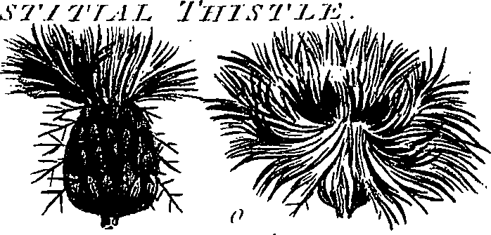 099/099300010400700_6.png