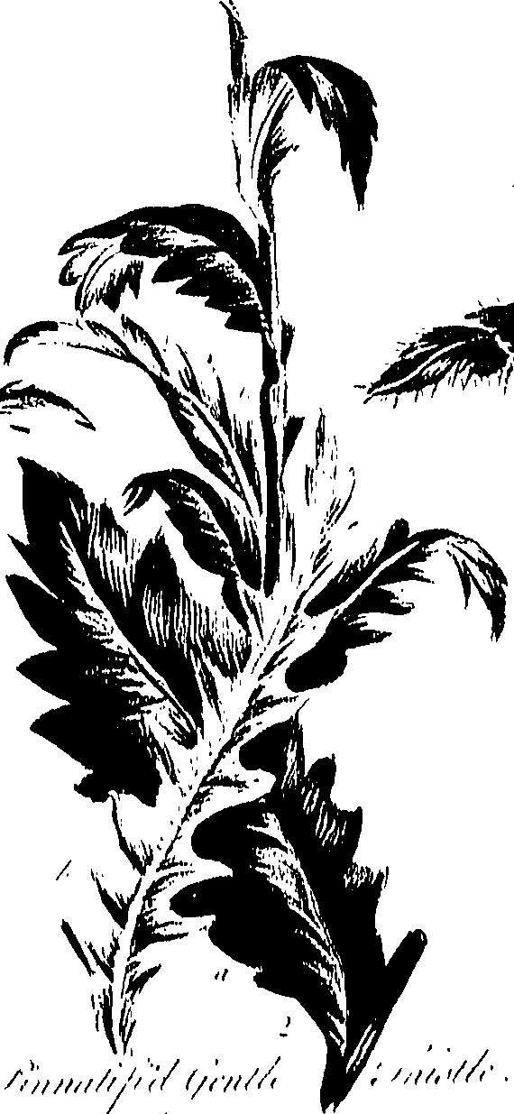 099/099300010400720_0.png