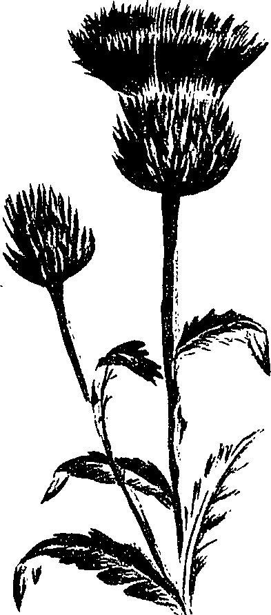 099/099300010400720_1.png