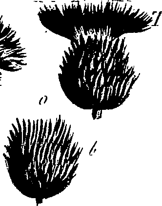 099/099300010400720_2.png