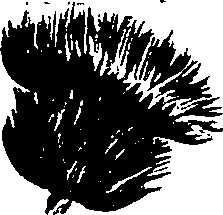 099/099300010400720_3.png