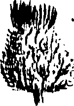 099/099300010400730_0.png