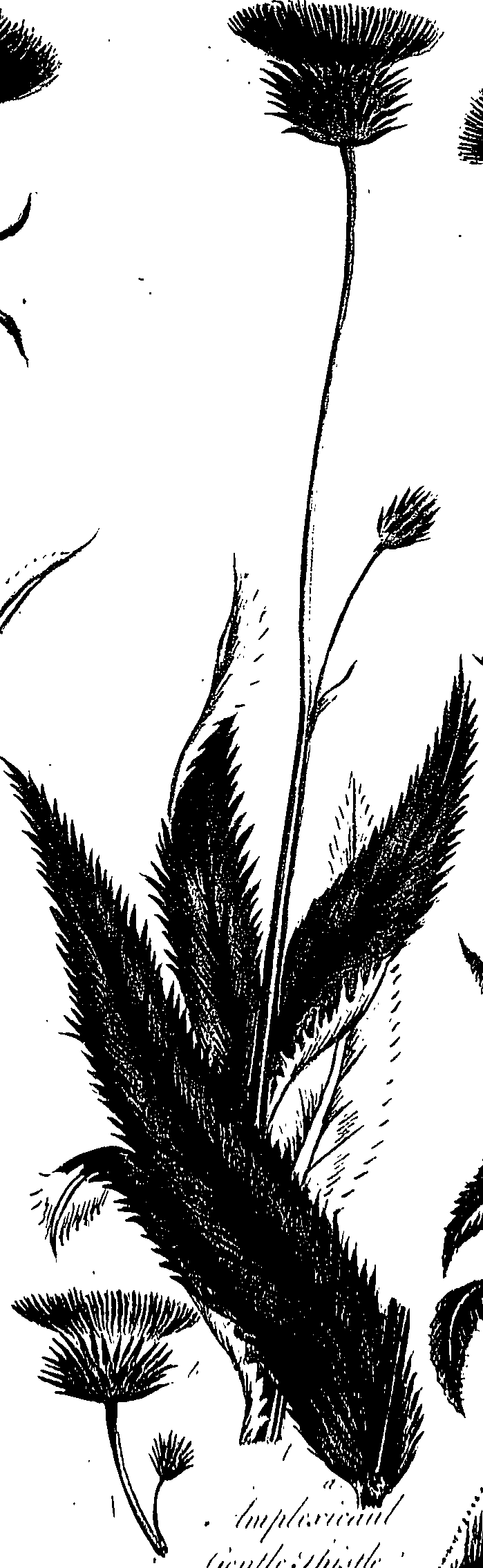 099/099300010400740_0.png
