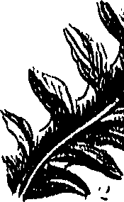 099/099300010400810_0.png
