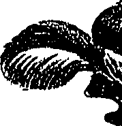 099/099300010400810_1.png