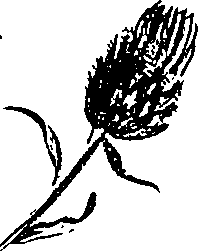 099/099300010400810_2.png
