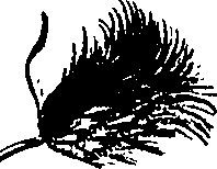 099/099300010400810_3.png