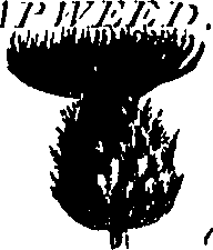 099/099300010400810_4.png