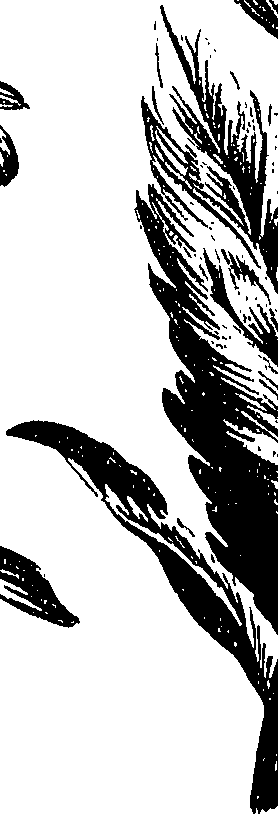 099/099300010400820_0.png