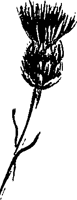 099/099300010400820_1.png