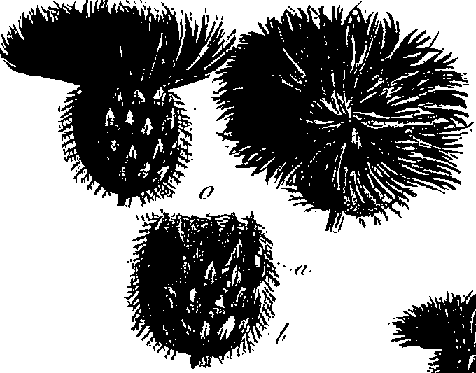 099/099300010400860_0.png