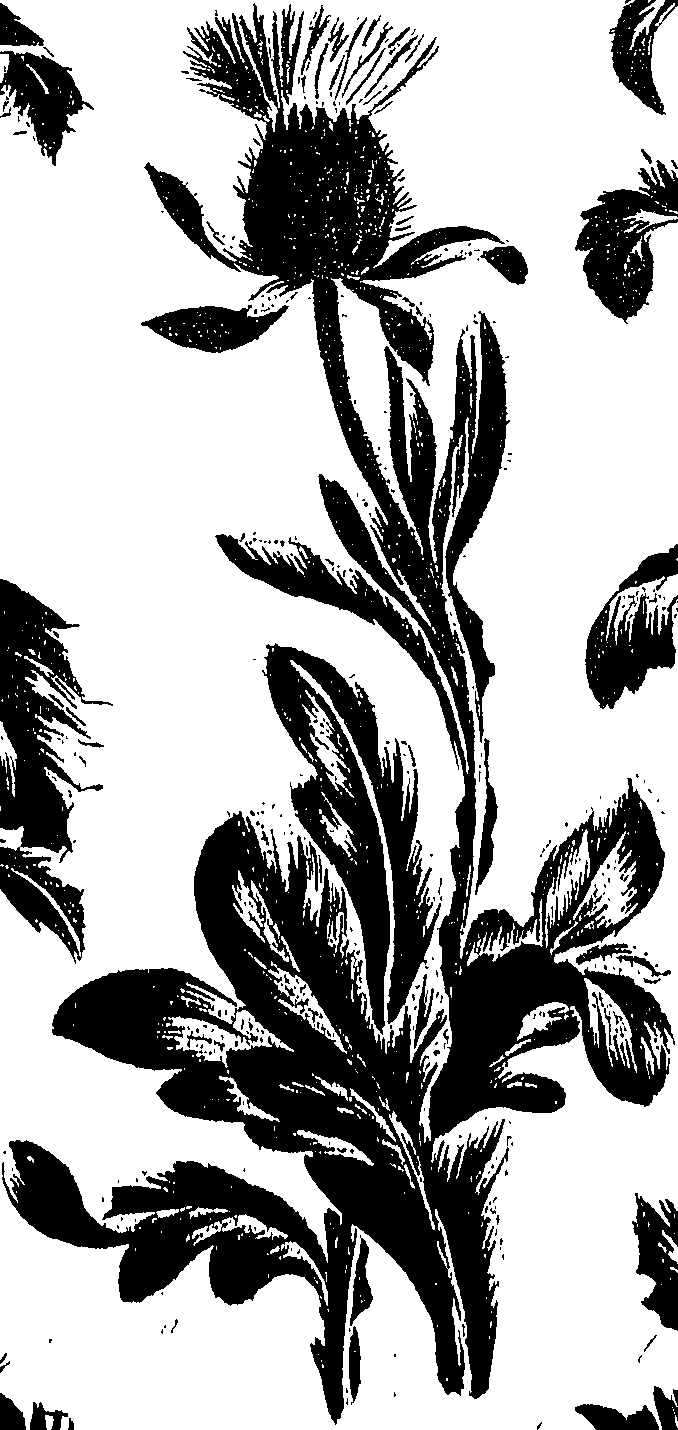 099/099300010400870_0.png