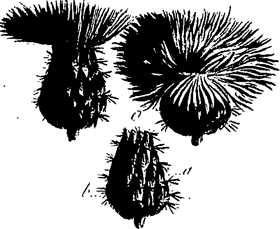 099/099300010400870_1.png