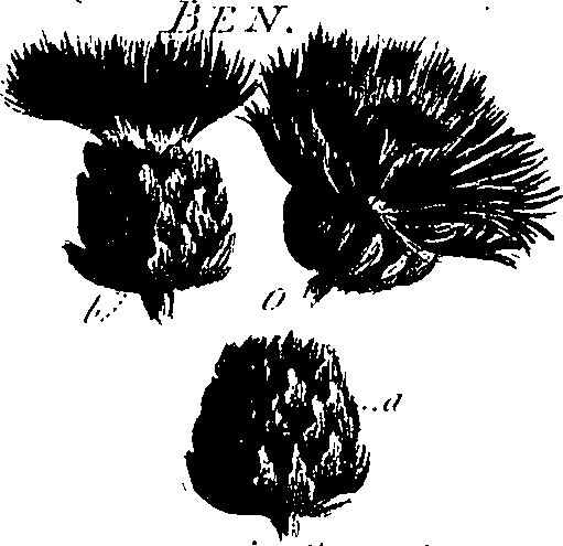 099/099300010400900_0.png