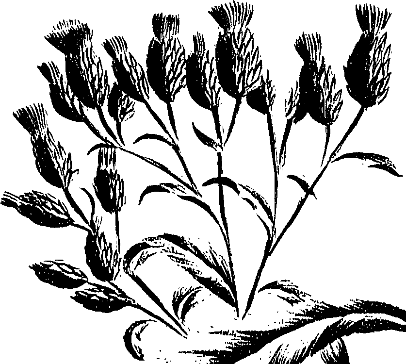 099/099300010400910_0.png