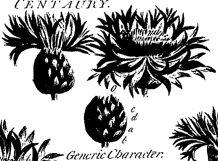 099/099300010400930_0.png