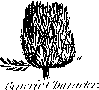 099/099300010400960_0.png