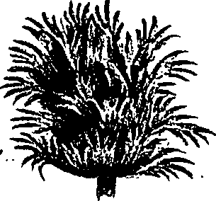 099/099300010400970_0.png