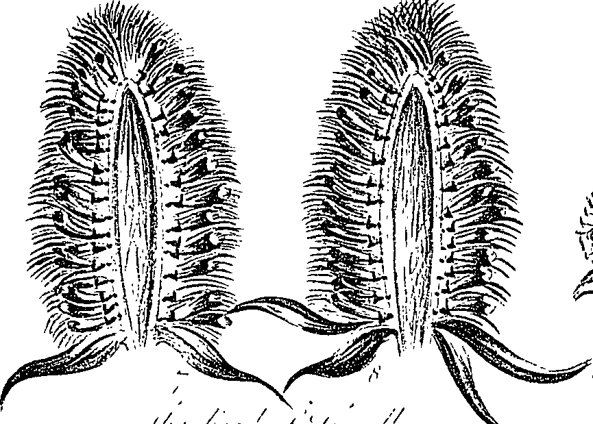 099/099300010500690_0.png
