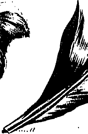 099/099300010500720_0.png