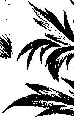 099/099300010500720_1.png