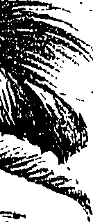 099/099300010500720_2.png