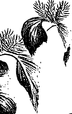 099/099300010500720_3.png
