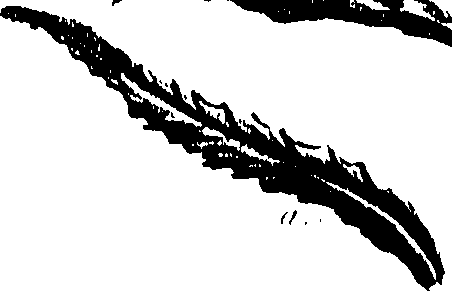 099/099300010500730_0.png