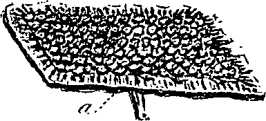 099/099300010500750_0.png