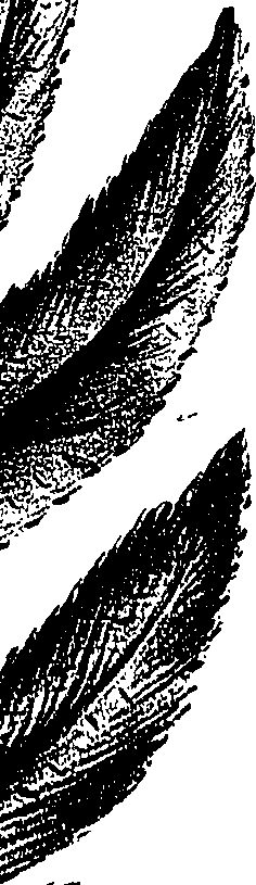 099/099300010500760_0.png