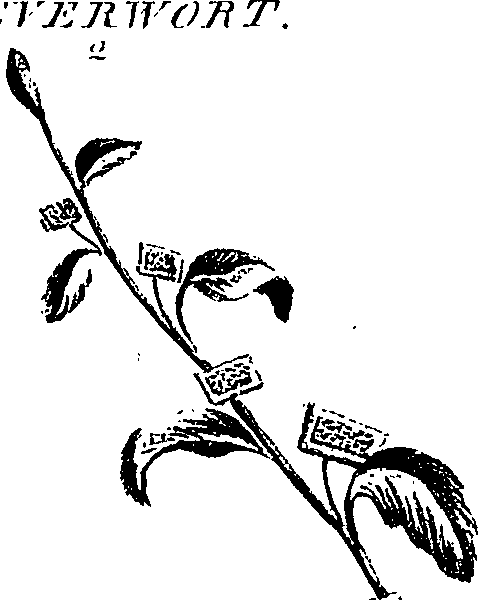099/099300010500760_1.png