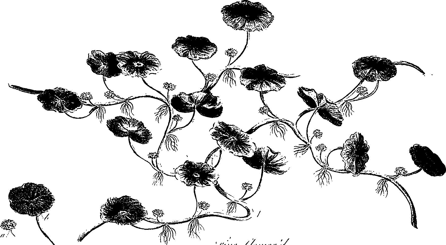 099/099300010500770_1.png