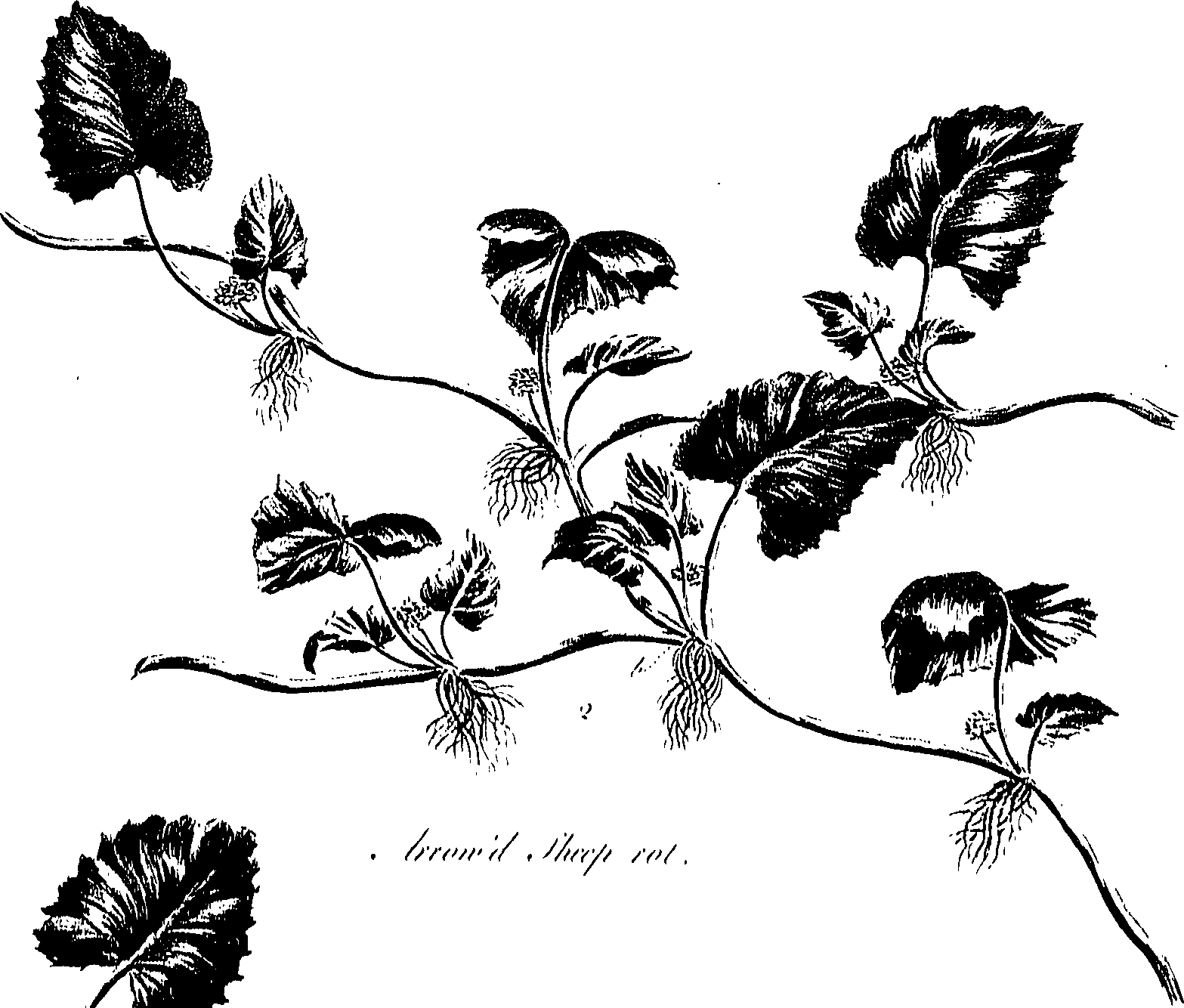 099/099300010500790_0.png