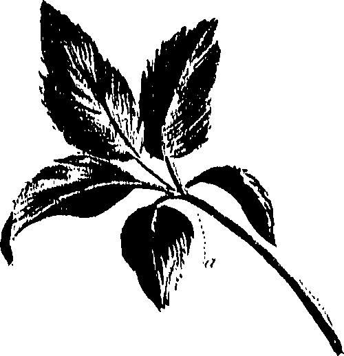 099/099300010500810_0.png
