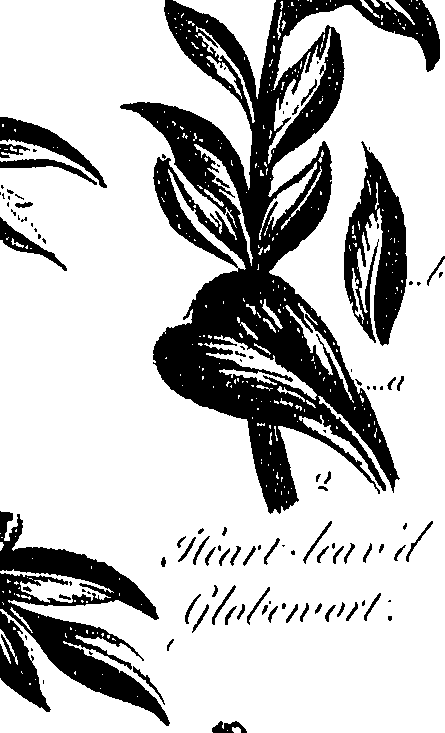 099/099300010500850_0.png