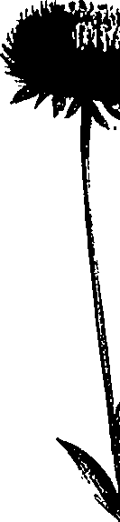 099/099300010500850_1.png