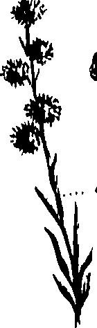 099/099300010500860_0.png